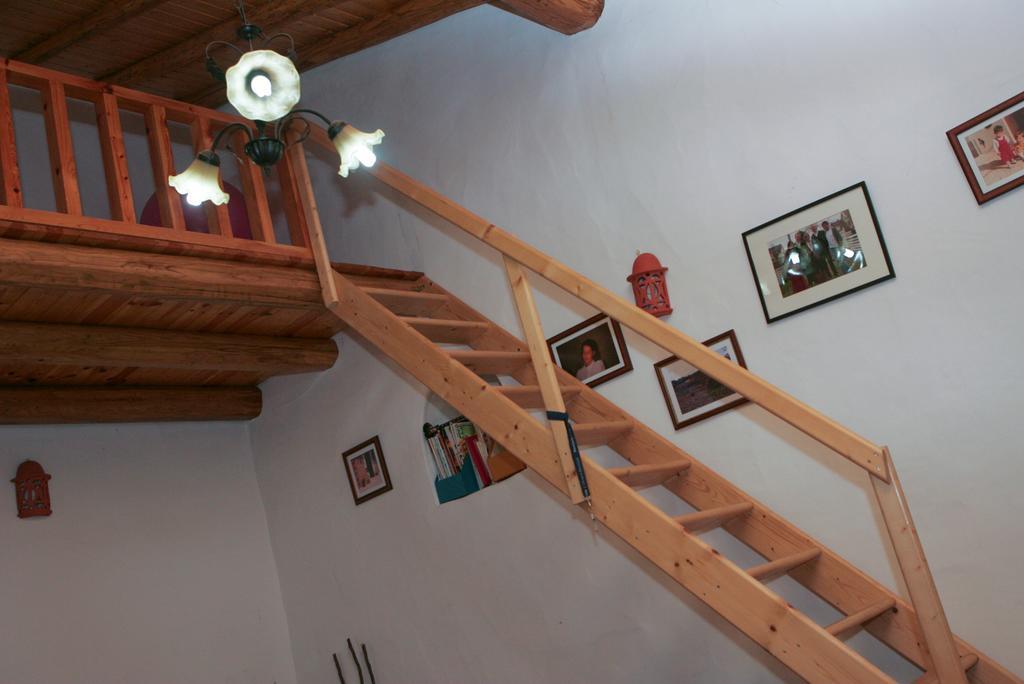 Horta Do Ze Miguel Villa Monchique Kültér fotó