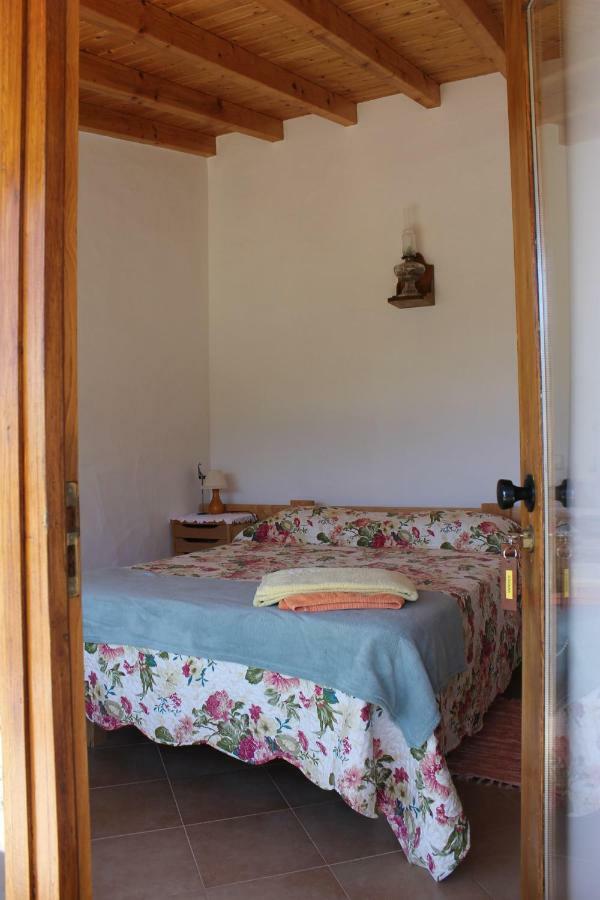 Horta Do Ze Miguel Villa Monchique Kültér fotó